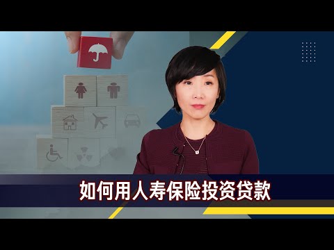 用人寿保险投资贷款
