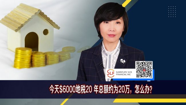 温哥华地税延交